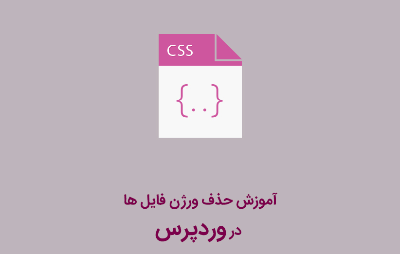 آموزش حذف ورژن فایل ها در وردپرس